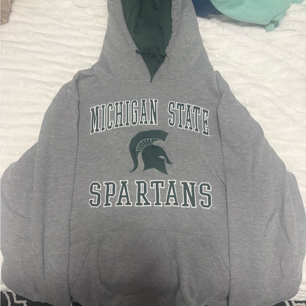 Colosseum Gray and Green Hoodie